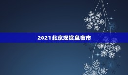 2021北京观赏鱼夜市，北京观赏鱼批发市场？