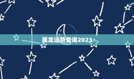 属龙运势查询2023(龙年运势大介绍)