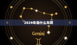 2029年是什么年啊(未来科技将如何改变我们的生活)