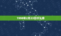 1998年2月23日什么命，农历1988年2月23是五行里什么命