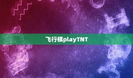 飞行棋playTNT，C#实现飞行棋