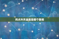 鸡犬升天谜底是哪个属相，九天阊阖开宫殿，万国衣冠拜冕旒。 这句话是什么