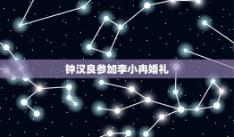 钟汉良参加李小冉婚礼，《今生有你》钟汉良、李小冉再续前缘，他们二人此前