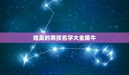 姓吴的男孩名字大全属牛，姓吴的男孩名字大全