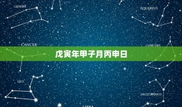 戊寅年甲子月丙申日，戊寅年甲寅月丙申日