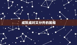 成双成对又分开的属相，成双成对的生肖是什么？