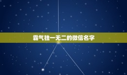 霸气独一无二的微信名字，霸气独一无二微信网名