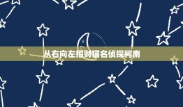 从右向左招财猫名侦探柯南，求《名侦探柯南》428集到509每集的题目！