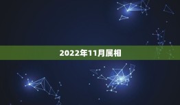 2022年11月属相