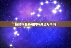 招财狗名泰迪狗叫臭蛋好听吗，泰迪犬名字大全