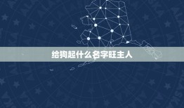 给狗起什么名字旺主人，最旺主人的狗狗名字