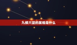 九横六竖的属相是什么，九横六竖猜生肖