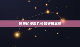 属猴的楼层几楼最好与属相，生肖属鸡和属猴的买房子应该买多少层