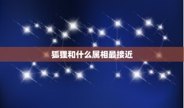 狐狸和什么属相最接近，狐狸与十二生肖什么动物相像