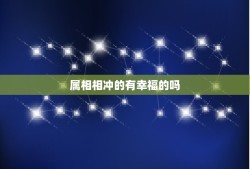 属相相冲的有幸福的吗，属相相冲，八字相克真的有这些事吗？真的会不好吗？