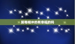 属相相冲的有幸福的吗，属相相冲，八字相克真的有这些事吗？真的会不好吗？