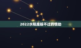 2022水瓶座躲不过的情劫，水瓶座一生的情劫是哪个星座