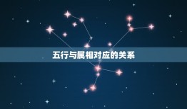 五行与属相对应的关系，五行查询表及属相