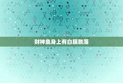 财神鱼身上有白膜脱落，我的财神鱼这是怎么了？颜色变黑，起白泡，溃烂