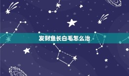 发财鱼长白毛怎么治，发财鱼背上长白毛了怎么办？