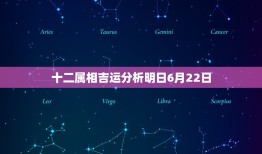 十二属相吉运分析明日6月22日，十二生肖配对算命是怎样的？