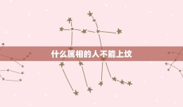 什么属相的人不能上坟，属蛇的人今天能不能上坟祭祖