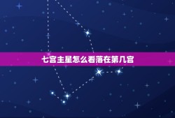 七宫主星怎么看落在第几宫，如何看7宫宫头落在哪个星座 从星盘上