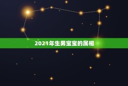 2021年生男宝宝的属相，2021年必定生男孩的生肖