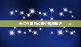 十二生肖包公哪个属相最好，十二生肖，那包公什么生肖