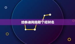 给泰迪狗狗取个招财名，给爱狗取个名字，带财运的