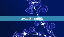 2022很牛的昵称，2021超拽网名