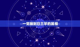 一觉睡到日三竿的属相，一觉睡到日三竿是什么意思