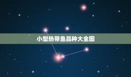 小型热带鱼品种大全图，常见的热带鱼种类图片大全