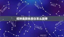 招财鱼颜色变白怎么回事，招财鱼褪色是因为什么原因