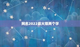 网名2022最火爆两个字，2022年更流行的网名