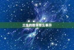 三生的数字怎么表示，三生数字怎么表示