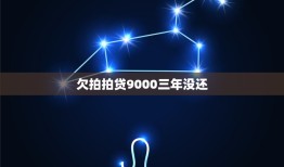 欠拍拍贷9000三年没还，拍拍贷逾期31天了欠了9000多，会不会坐牢