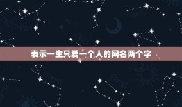 表示一生只爱一个人的网名两个字，此生只爱一个人的网名