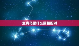 生肖马跟什么属相配对，属马的跟什么属相配