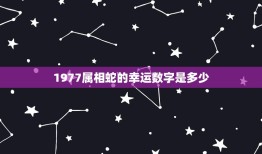 1977属相蛇的幸运数字是多少，1977年属蛇的五月生人幸运数字