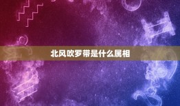 北风吹罗带是什么属相，北风吹罗带。猜一生肖