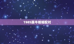 1985属牛婚姻配对(如何找到伴侣)