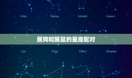 为什么属狗和属鼠不合(介绍星座配对的奥秘)