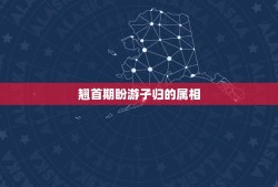 翘首期盼游子归的属相，四七合归.属什么生肖