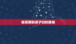 翘首期盼游子归的属相，四七合归.属什么生肖