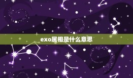 exo属相是什么意思，exo边伯贤生肖是什么