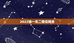 2022独一无二情侣网名，2023独一无二霸气情侣网名加符号