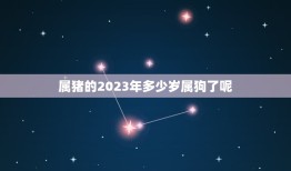 属猪的2023年多少岁属狗了呢(介绍猪狗相伴岁岁平安)