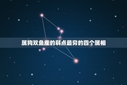 属狗双鱼座的弱点最穷的四个属相，生肖狗的双鱼座和什么生肖星座最配