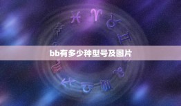 bb有多少种型号及图片，BB霜分那几种，颜色有什么差别？什么肤色用什么